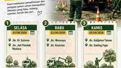 Pohon rawan tumbang Sidoarjo menjadi perhatian DLHK. Laporan warga diprioritaskan untuk mempercepat pengecekan dan penanganan pohon berisiko.